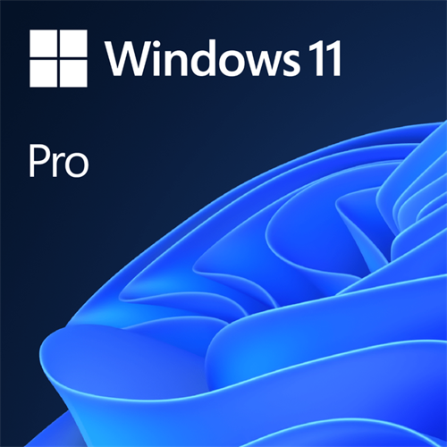 Microsoft Windows 11 Professional DVD - Computer Software
